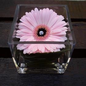 fwthumb47 gerbera in glass vase 14.95.jpg